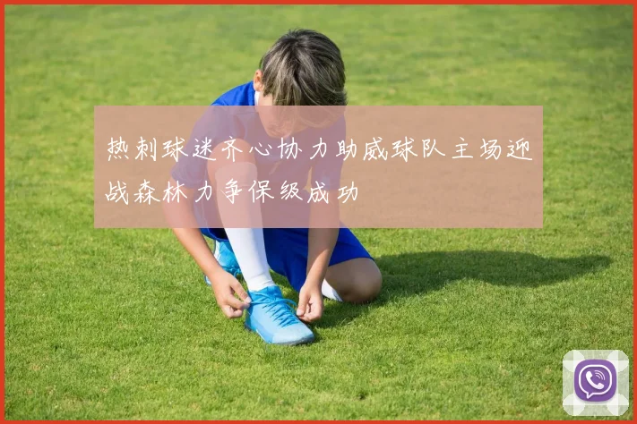 热刺球迷齐心协力助威球队主场迎战森林力争保级成功