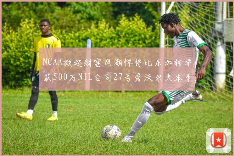 NCAA掀起财富风潮悍将比东加转学获500万NIL合同27号秀沃尔夫本季收入280万