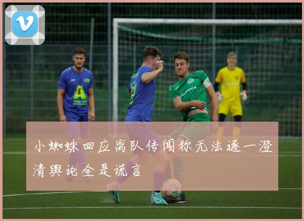 小蜘蛛回应离队传闻称无法逐一澄清舆论全是谎言