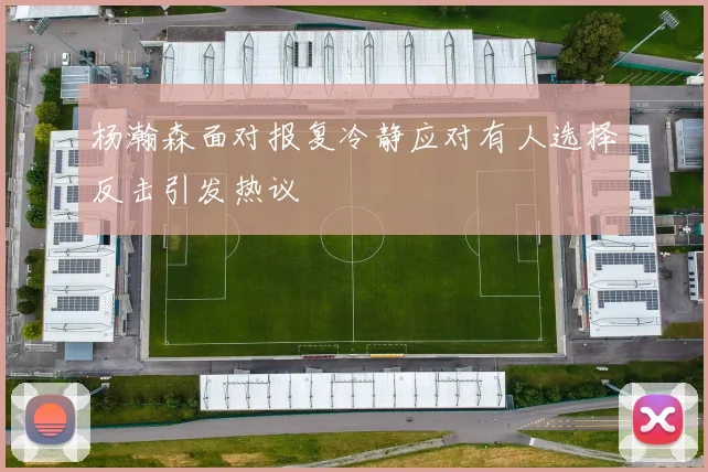杨瀚森面对报复冷静应对有人选择反击引发热议